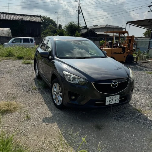 stock-in-africa-jbm-japan (14)