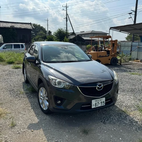 stock-in-africa-jbm-japan (16)